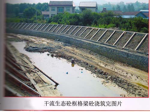 干流生态砼框格梁砼浇筑
